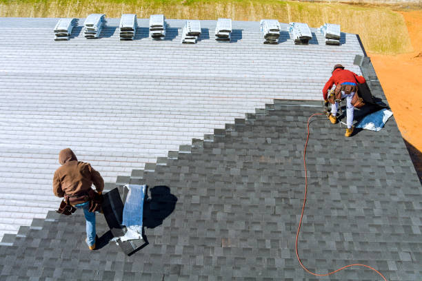 Best Roof Restoration Services  in Lukachukai, AZ