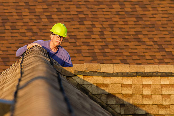 Best Gutter Installation and Roofing  in Lukachukai, AZ